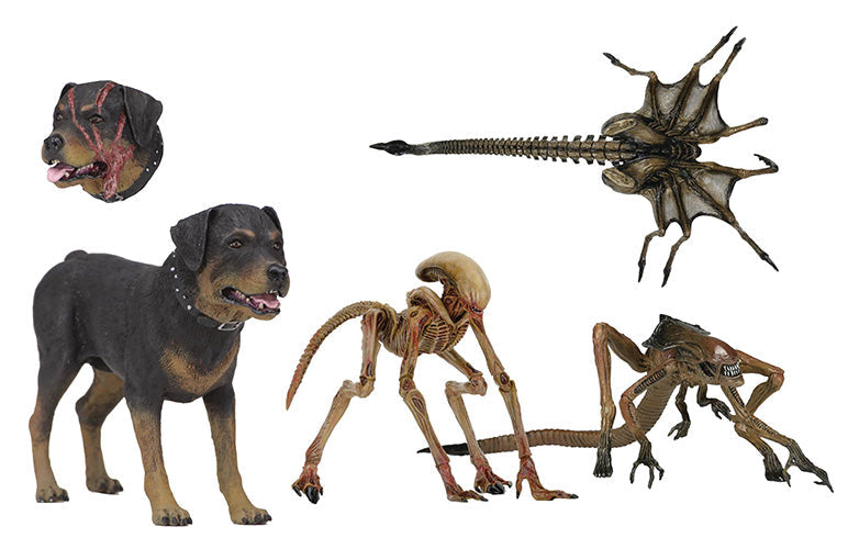 Alien 7 Inch Accessory Pack Box Set - Alien 3 Creature Pack (Sub Standard Packaging)