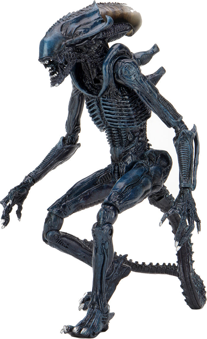 Aliens vs Predator Game Movie Deco 9 Inch Action Figure Ultimate - Arachnoid Alien