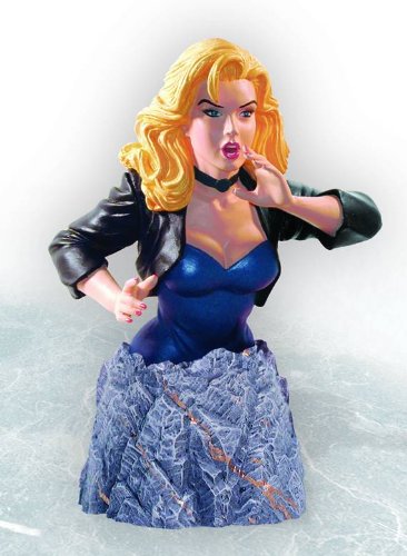 DC Collectible 5 Inch Bust Statue - Black Canary Mini Bust (Previously Opened and Displayed)
