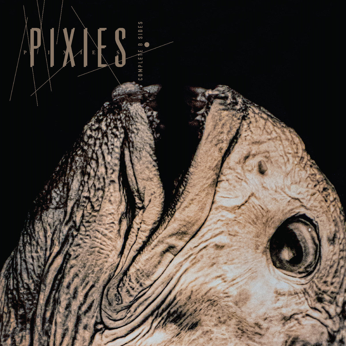 [Pre Order] Pixies - Complete B Sides: 1988-97 - Indie LP