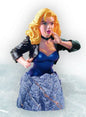 DC Collectible 5 Inch Bust Statue - Black Canary Mini Bust (Previously Opened and Displayed)